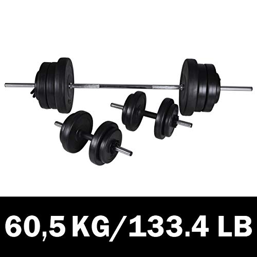 vidaXL Conjunto de Gimnacio Haltera + 2 Pesas 30,5Kg