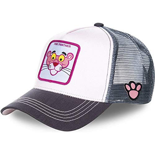 WAZHX Gorra De Béisbol Panther Anime Raccoon Comics Sombrero De Camionero Negro Gorra De   Malla Sombrero De Papá Ironman