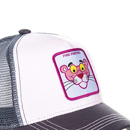 WAZHX Gorra De Béisbol Panther Anime Raccoon Comics Sombrero De Camionero Negro Gorra De   Malla Sombrero De Papá Ironman