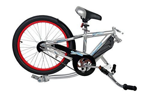 WeeRide Kids Co - Remolque de Bicicleta Infantil, tamaño 20, Color Plateado