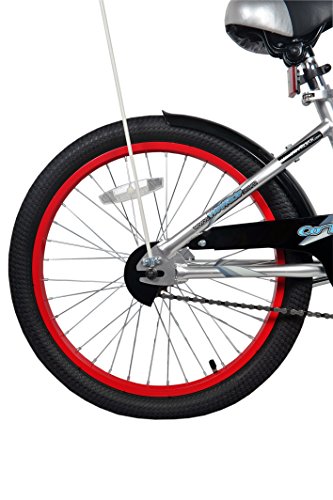 WeeRide Kids Co - Remolque de Bicicleta Infantil, tamaño 20, Color Plateado