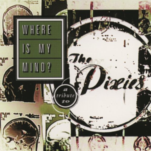 Where Is My Mind: A Tribute To The Pixies