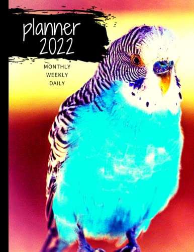 2022 Monthly Planner: Birds Cover , Nature, beautiful, Colorful | 2022 Monthly Weekly Daily Planner | January 2022 to December 2022 - 14 Months |2022 ... notes , Goals, and More | Gift idea
