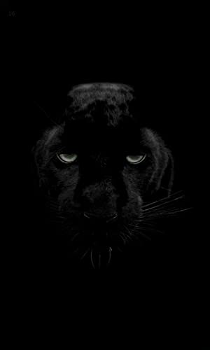 4K Black Panther Wallpaper HD