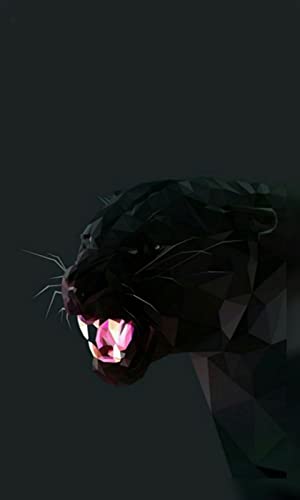 4K Black Panther Wallpaper HD