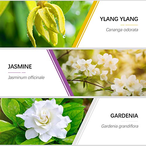 Aceites Esenciales,ESSLUX Flores Aceites Esenciales para Humidificador Difusor Naturales Puro, Rosa, Ylang ylang, Jazmín, Gardenia, Cerezo, Té Blanc,6x10 ml