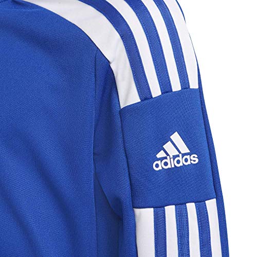 adidas GP6469 SQ21 TR Top Y Pullover Unisex-Child Team Royal Blue/White 5-6A