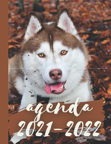 Agenda 2021-2022: agenda escolar 2021-2022 husky,perro, lobo, animales Agenda escolar diaria y semanal 2021 2022, Primaria, Secundaria, Bachillerato, ... regalos escolares . diario escolar 2021-2022