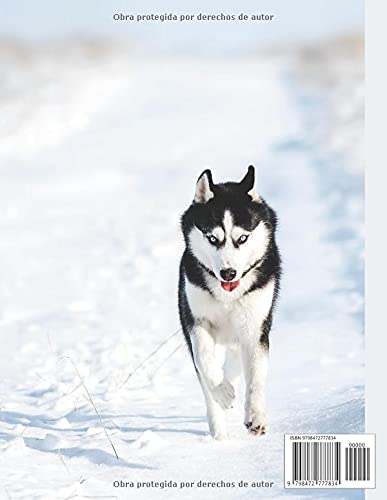 Agenda 2021-2022: agenda escolar 2021-2022 husky,perro, lobo, animales Organizador escolar (agosto de 2021 / julio de 2022) | Primaria - Universidad ... un año escolar exitoso | calendario