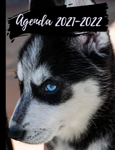 Agenda 2021-2022: agenda escolar 2021-2022 husky,perro, lobo, animales Primaria - Universidad -- Colegio- Escuela secundaria - Estudiante - para ... de 2021 a julio de 2022 | Planificación