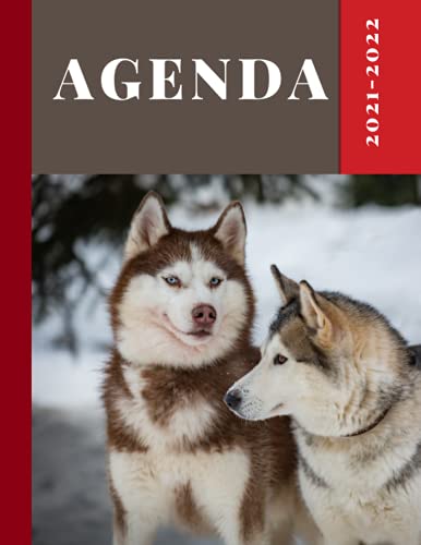 Agenda 2021-2022: husky,perro, lobo, animales diario 2021-2022 Para trabajadores o estudiantes | agenda 2021-2022 : escolar (estudios) , trabajo o ... agosto de 2021 a julio de 2022 , calendario
