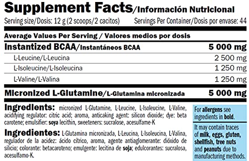 AMIX - Bcaa Glutamina - 530 Gramos - Complemento Alimenticio de Glutamina en Polvo - Reduce el Catabolismo Muscular - Óptimo para Deportistas - Sabor Mango - Aminoácidos Ramificados