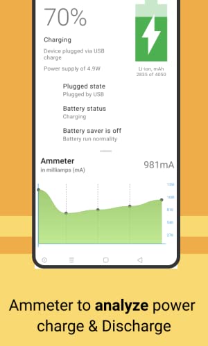 Ammeter Battery Info