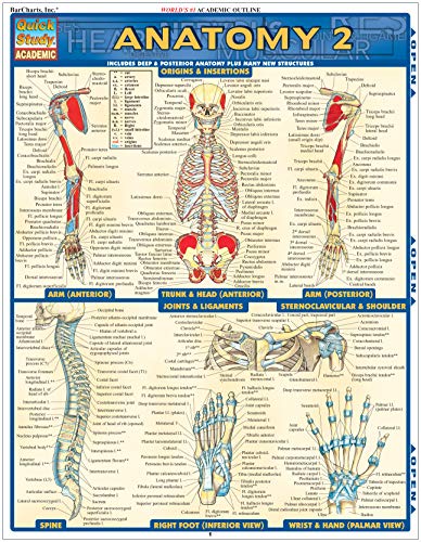 Anatomy 2 - Reference Guide: a QuickStudy Reference Tool (Quick Study Academic)