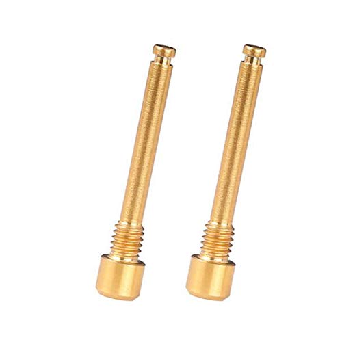 Andifany Pernos de Titanio M4 para Pastillas de Freno de Disco de Bicicleta Tornillo de InsercióN de Pasador Roscado para Pinza de Disco HidráUlico XT R XT-Dorado