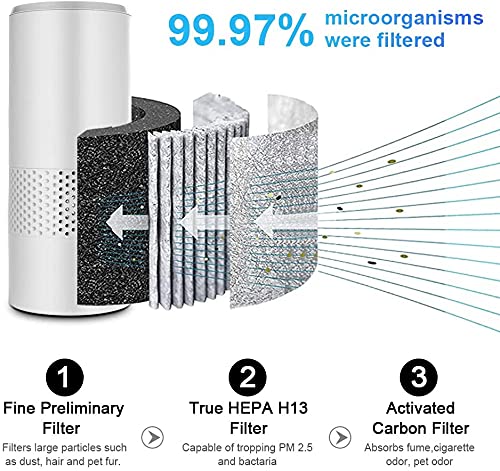 Apark Purificador de aire HEPA con filtro de carbón activo 99,97 % de potencia potente, purificador de aire con 2 modos y luz nocturna, purificador de aire para polvo, tabaco, polen, caspa de heno