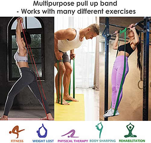 BESTOPE Bandas de resistencia Kit - Bandas de ejercicios Aparatos de gimnasia Inicio, Servicio pesado Fuerza Entrenamiento fitness para hacer ejercicio (conjunto de 4 colores)