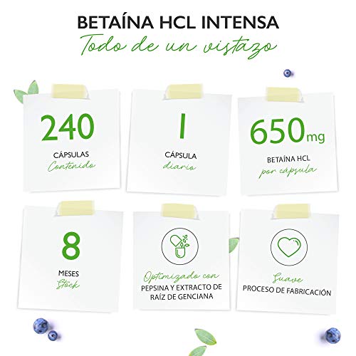 Betaína HCL - 240 cápsulas con 695 mg - Premium: Con pepsina y genciana amarga - Enzimas digestivas de amplio espectro - Alta dosis - Vegano