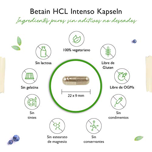Betaína HCL - 240 cápsulas con 695 mg - Premium: Con pepsina y genciana amarga - Enzimas digestivas de amplio espectro - Alta dosis - Vegano