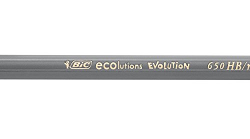 BIC Evolution Black Lápices de Grafito HB – Negro, Blíster de 4 unidades