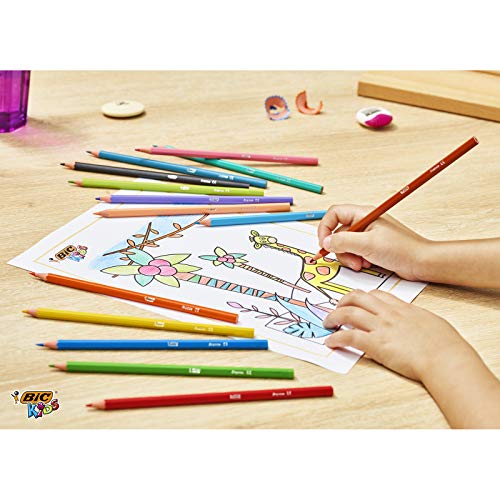 BIC Kids Lápices de Colores para Niños, Óptimo para material escolar,Tropicolors, Colores Surtidos, 2,9mm, Material Escolar, Blíster de 24