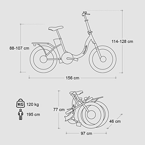 Bicicleta ELECTRICA Plegable BIWBIK Capri (Plata)