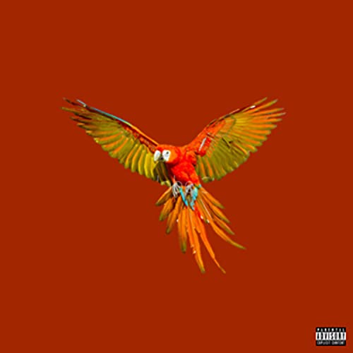 Bird Season [Explicit]