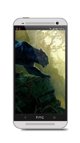 Black Panther HD Wallpaper