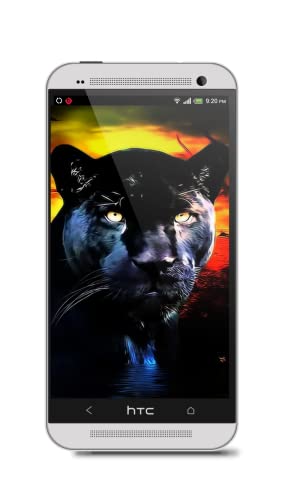 Black Panther HD Wallpaper