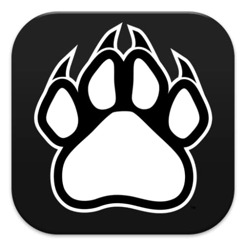 Black Panther HD Wallpaper