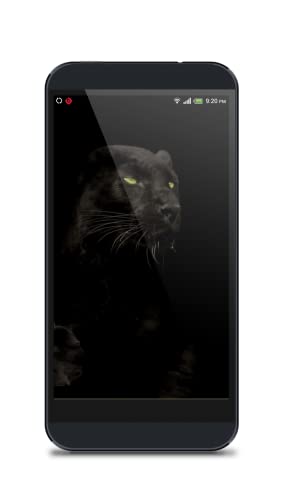 Black Panther HD Wallpaper