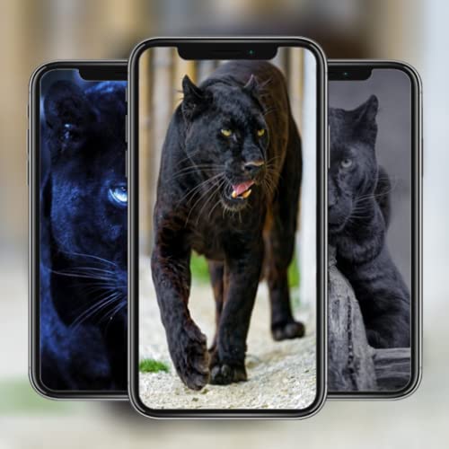 Black Panther Wallpaper HD