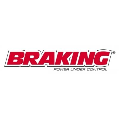 BRAKING Disco de freno trasero Yamaha YP 125 X-MAX, X-CITY 250, 250 X-MAX RF8502