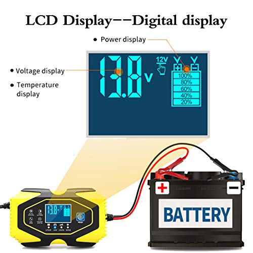 BUDDYGO C990 Cargador de Batería Coche Moto, 6A 12V/24V Bateria Cargador Inteligente Mantenimiento de Batería con LCD y Múltiples Protecciones para Coche Moto, Batería Plomo y Litio