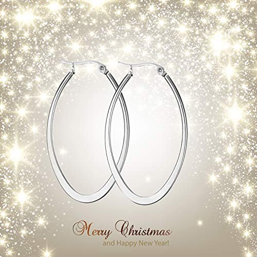 Caimeytie Pendientes Aros para Mujer Oval Acero Inoxidable Plata