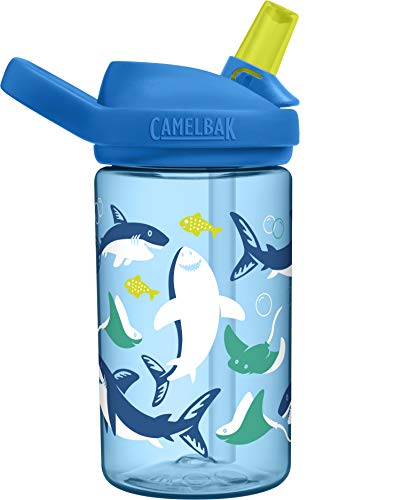 CamelBak Botellas Eddy+ Kids, Niños, Gris, ESTANDAR