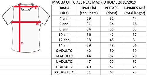Camiseta oficial del Real Madrid Luka Modric, para niños, 2018-2019 (XXL)