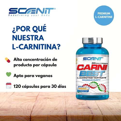 CARNI BEST | L Carnitina (2660 mg) | 120 cápsulas veganas | Suplemento deportivo con L Carnitina Tartrato pura | Ayuda a la metabolización eficiente de las grasas y mejorar el rendimiento deportivo