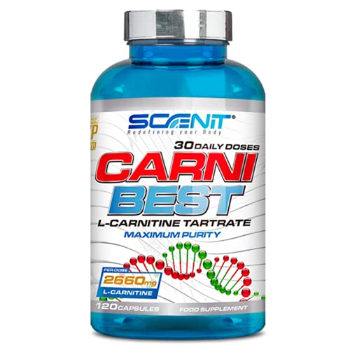 CARNI BEST | L Carnitina (2660 mg) | 120 cápsulas veganas | Suplemento deportivo con L Carnitina Tartrato pura | Ayuda a la metabolización eficiente de las grasas y mejorar el rendimiento deportivo