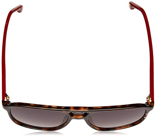 Carrera 173/S Gafas, Multicolor (Havana Red/Gy Grey), 56 Unisex Adulto