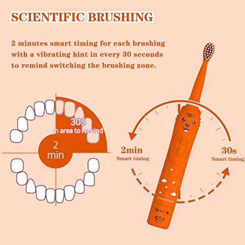 Cepillo de dientes recargable para niños, cepillo de dientes sónico para niños, niñas de 3 a 12 años, recordatorio de 30 segundos, temporizador de 2 minutos, 6 modos, 2 cabezales de cepillo (Naranja)