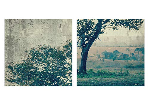 Cuadro sobre lienzo - Impresión de Imagen - árbol naturaleza campo - 100x70cm - Imagen Impresión - Cuadros Decoracion - Impresión en lienzo - Cuadros Modernos - Lienzo Decorativo - AA100x70-3627