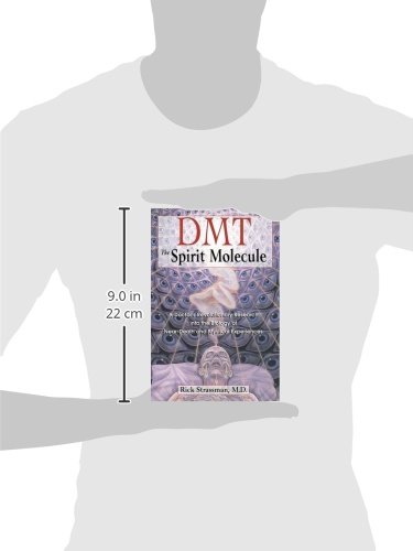 Dmt : the Spririt Molecule: A Doctors Revolutionary Research into the Biology of out-of-Body Near-Death and Mystical Experiences