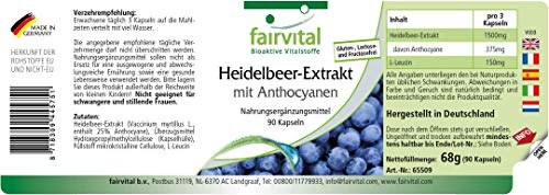 Extracto de Arándano 500mg con Antocianinas - Vaccinium myrtillus (Bilberry) - VEGANO - Dosis elevada - 25% de Antocianinas - 90 Cápsulas - Calidad Alemana