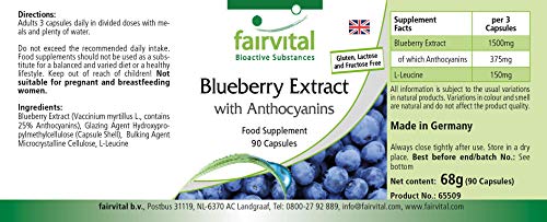 Extracto de Arándano 500mg con Antocianinas - Vaccinium myrtillus (Bilberry) - VEGANO - Dosis elevada - 25% de Antocianinas - 90 Cápsulas - Calidad Alemana