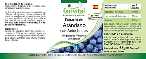 Extracto de Arándano 500mg con Antocianinas - Vaccinium myrtillus (Bilberry) - VEGANO - Dosis elevada - 25% de Antocianinas - 90 Cápsulas - Calidad Alemana