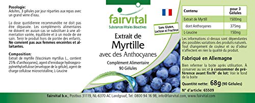 Extracto de Arándano 500mg con Antocianinas - Vaccinium myrtillus (Bilberry) - VEGANO - Dosis elevada - 25% de Antocianinas - 90 Cápsulas - Calidad Alemana