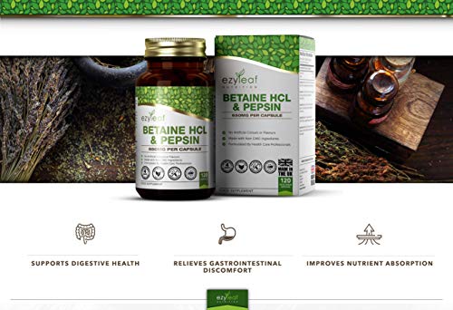 Ezyleaf Betaina HCL con Pepsina 650mg | 120 Cápsulas Veganas de Alta Potencia | Para Apoyar la Salud del Cuerpo | Sin Gluten, OGM, Alergenos o Lacteos