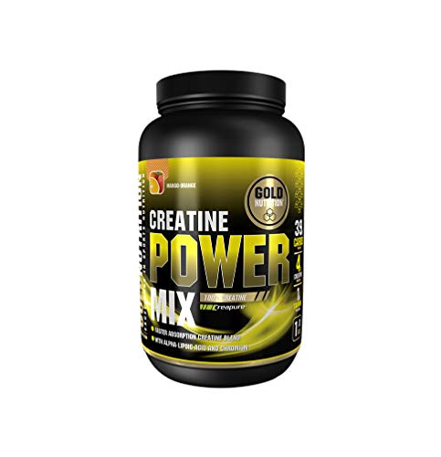 Goldnutrition Creatine Power Mix, 1kg, Créapure Pure Creatine