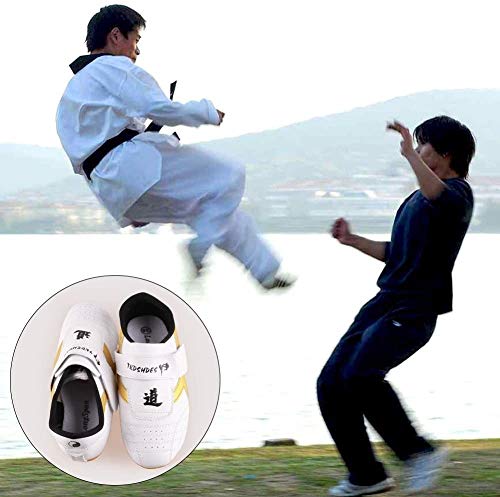 HaoLin Zapatos De Taekwondo Entrenadores Ligeros De Artes Marciales Zapatos para Hombres Mujeres Niños Adultos Zapatos De Karate De Boxeo Velcro De Cuero,C-35